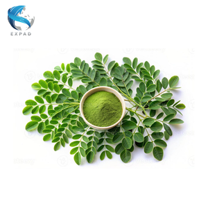 Poudre de feuilles de Moringa déshydratées à prix d'usine et feuilles de Moringa déshydratées du Vietnam en gros, naturelles, en sac refermable - Product Image 1