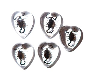Scorpion noir, spécimen réel, cabochon en plastique, cœur 17x21 mm, fond plat transparent, pour artisanat et fabrication de bijoux - Product Image 3