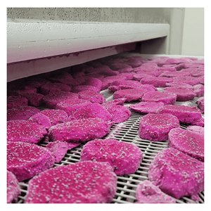 Fruta del Dragón Roja Congelada IQF, preparada a partir de cubos frescos de fruta del dragón para batidos, bebidas de frutas y recetas de postres, Vietnam - Product Image 1