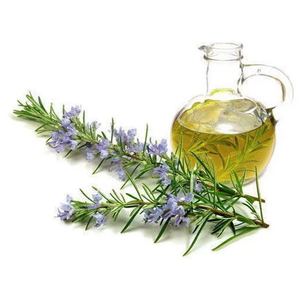 Huile Essentielle de Romarin Pure de Haute Qualité, Extrait Naturel à Base de Plantes pour la Croissance des Cheveux, les Soins du Cuir Chevelu, la Peau et l'Aromathérapie - Product Image 2