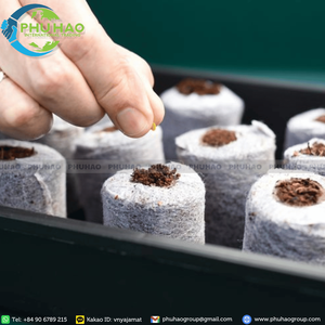 Coco peat en pellets de bajo contenido en EC, tamaño 3.5 a 4.2 cm, el más vendido, para un crecimiento saludable de las raíces y el inicio profesional de plántulas en viveros. - Product Image 5