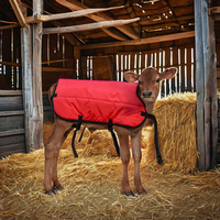 Nouvel équipement d'élevage couverture de veau en polyester imperméable pour la protection du bétail pour le vêlage et les fermes de veaux