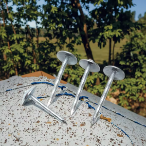 Clous de toiture galvanisés de haute qualité avec rondelles, adaptés à la construction de toitures, disponibles en plusieurs tailles - Product Image 1