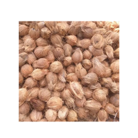 Premium gedroogde kokosnoot, half ontschilde, tropisch landbouwproduct voor export, beste merk kwaliteit