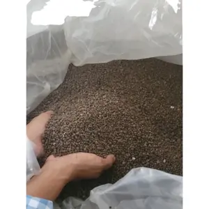 fertilizer organic Sold by farmers as a granular guano granular fertilizer from indonesia