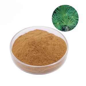 ผงใบเลื่อย Palmetto จากสมุนไพรธรรมชาติบริสุทธิ์สำหรับมาสก์ผมดูแลหนังศีรษะและบำรุงเส้นผม - Product Image 1