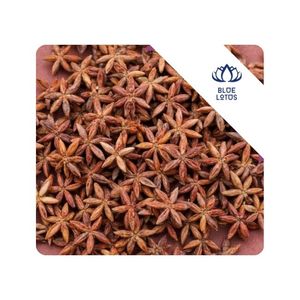 [EL MÁS VENDIDO] Anís estrellado de alta calidad para marinar carne de res, cerdo y pollo en cocinas a gran escala en Vietnam - Product Image 1