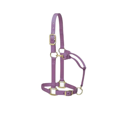 Lavender Original Australian Saddle Horse Halter Adjustable