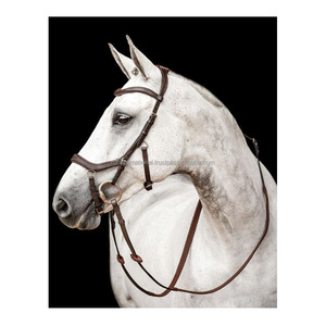 Bride d'étalon LED avec taille personnalisable Nouveau design Boucle en laiton doré Style de selle anglaise en cuir - Product Image 5