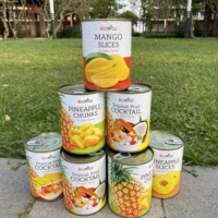 Top Koop Made In Vietnam Hoge Kwaliteit Blik Tropische Fruit Cocktail Ananas Papaya Dragon Fruit In Lichte Siroop 580Ml