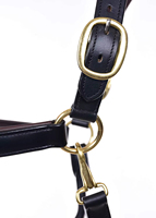 Harnais de tête en cuir de vache argentin de qualité supérieure pour l'équitation western, décoré d'une tête d'alligator turquoise, pour toutes les utilisations