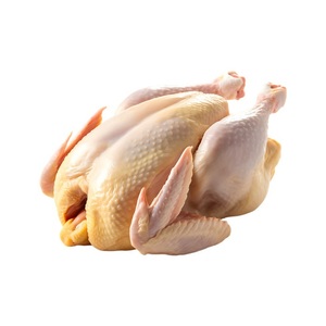น่องไก่แช่แข็ง ตัดเป็นส่วน ไร้กระดูก ไร้หนัง คุณภาพสูง ปราศจากคาเฟอีนและไขมันทรานส์ อายุการเก็บรักษา 24 เดือน - Product Image 4