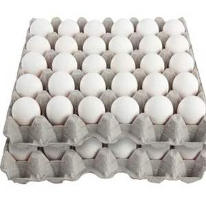 Huevos de Gallina Frescos Congelados de Alta Calidad a Precio de Fábrica, Marrones y Blancos, Naturales, Orgánicos, Tamaño Jumbo, Mejor Precio al por Mayor, Envío Rápido - Product Image 1
