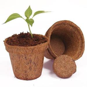 Bulk Natural Coconut Coir <b>Planting</b> <b>Pots</b> for Garden Centers Nurseries and Agricultural Distributors - Product Image 3