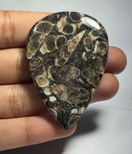 Lot en gros d'agates cabochons TURRITELLA au poids, avec différentes formes et tailles, utilisées pour la fabrication de bijoux, pierre TURRITELLA - Product Image 1