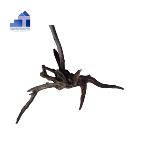 Rama de Madera Natural Moderna para Reptiles, Decoración para Acuarios y Peceras, Ideal para Comederos de Peces como Molly y Mariscos, Ecológica y Duradera - Product Image 5