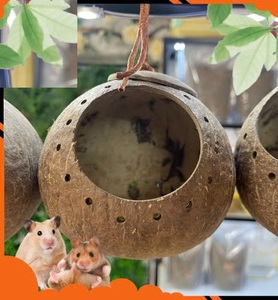 HOT BRAND 2025 HANDMADE COCONUT SHELL <b>BIRD</b> HOUSE PET <b>CAGE</b> from VIETNAM - Product Image 6