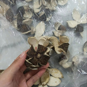 Dried Orange natural citrus slices for tea blending and cocktail garnish, dehydrated material from Vietnam for bakery decoration - Product Image 1