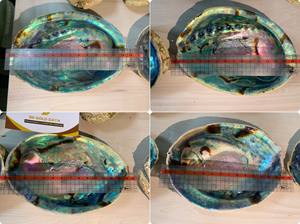 เปลือกหอยเป๋าฮื้อขัดเงาคุณภาพสูงจากเวียดนามสำหรับการทำเครื่องประดับแบบทำมือและใช้ตกแต่งบ้าน - Product Image 5