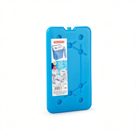 Bloc de glace réutilisable en plastique ultra-résistant de 450 g pour boîte à lunch et glacière