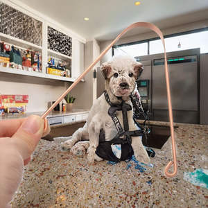 Herramientas de Higiene Bucal Bold Blossom, Limpiador de Lengua 100% Cobre Puro para Adultos, Venta al Por Mayor en India - Product Image 1