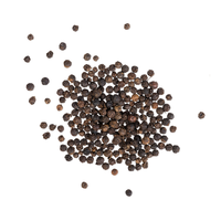 Poivre noir du Vietnam, grains bruts séchés, emballés sous vide, 25 kg, marque Kentary, pour distribution mondiale, épices et herbes uniques, séchage AD