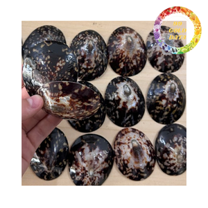 Exportador de conchas de limpias de Vietnam, conchas marinas naturales para decoración, manualidades y uso en acuarios, suministro a granel. - Product Image 3