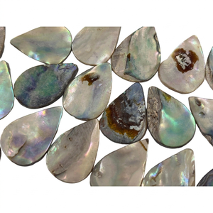 Premium Natural <b>Abalone</b> <b>Shell</b> Cabochons Iridescent Paua <b>Shell</b> Flatback Stones Bone Multi Colored for Jewelry Making <b>Shells</b> - Product Image 1