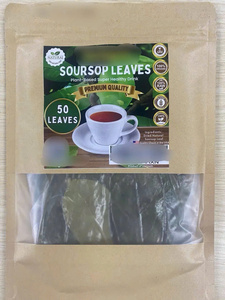 Dried Soursop Leaves Herbal <b>Tea</b> Bags-100% Soursop Leaves 25 <b>Tea</b> Bags Per Box - Product Image 4