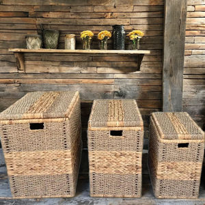 Juego de 3 Cestas de Almacenamiento Ecológicas Tejidas a Mano con Seagrass y Jacinto de Agua - Product Image 1