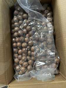 Venta al por mayor de nueces de macadamia tostadas de la nueva cosecha 2026 con cáscara o sin cáscara, suministro a granel, mejor precio - Sra. Tarina - Product Image 6