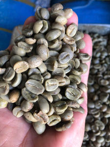 HANCOFFEEE Café Robusta y Arábica Verde/Crudo de Vietnam para Comercio - Bolsa de Yute/PP de 60 kg - Muestra Gratis y MOQ Bajo - Product Image 3