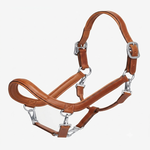 Harnais de cheval en cuir anglais durable avec nezier rembourré doux, quincaillerie en alliage, personnalisable OEM ODM pour concours et usage polyvalent - Product Image 1