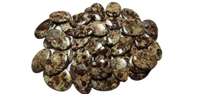 พลอยแจสเปอร์จระเข้สีน้ำตาลธรรมชาติ แบบหลวม 500 กรัม จากมาดากัสการ์ สำหรับทำเครื่องประดับ - Product Image 2