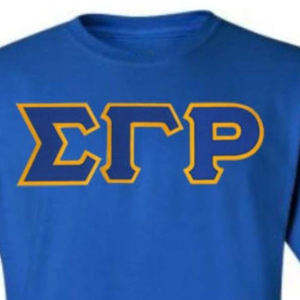 Camiseta Personalizada Sigma Gamma Rho para Mujer, Camiseta de Sororidad Griega, Manga Corta, Cuello Redondo, Algodón Informal, Logotipo Personalizado, Ropa Urbana al por Mayor - Product Image 3
