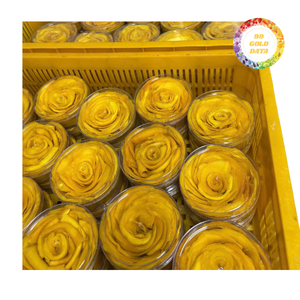 Top Rated <b>Dried</b> <b>Mango</b> For Wholesale Business Growth - Product Image 3