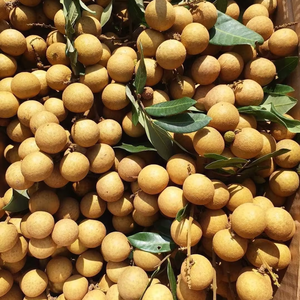 Longan Congelado de Alta Calidad para Suministro Mundial, el Más Vendido 2026 - Product Image 1