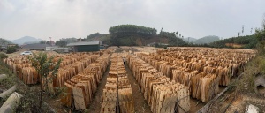 100% Natural Vietnam Acacia Core <b>Veneer</b> Rotary Cut Eco-Friendly & Durable for Plywood Manufacturing - Product Image 6