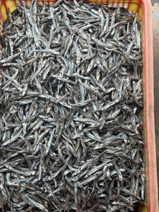 Anchoas Secas de Vietnam de la Mejor Calidad a Bajo Precio, Proceden de Vietnam, Contáctenos Ahora para Más Información, Alta Calidad al por Mayor - Product Image 6