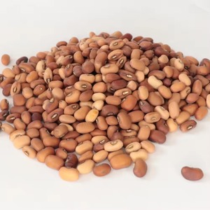 Guisantes negros premium con excelente contenido proteico y frescura naturalmente conservada para consumo alimentario - Product Image 1