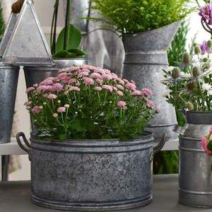 Panier de jardin vintage en zinc, jardinière florale importée, bac métallique galvanisé, accessoire de jardin - Product Image 4