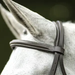 Brida de Cuero Premium para Caballo, Ajustable y Duradera, Ajuste Cómodo para Todos los Caballos, Perfecta para Entrenamiento y Montar - Product Image 2