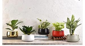 Pots de pépinière en métal rouge mat avec plateau de drainage et couvercle pour plantes, jardinage intérieur et extérieur - Product Image 5
