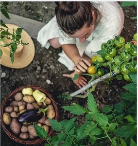 Fertilizante Multiusos Orgánico en Polvo de Karanja para Suelo y Cultivos - Marca Terra Bio Naturals, Fabricante y Exportador de Tamil Nadu - Product Image 4