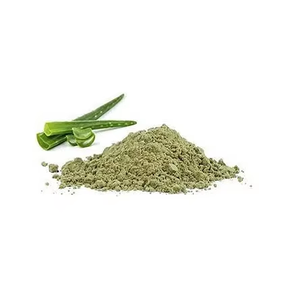 Proveedor Mayorista de Extracto de Aloe Vera Orgánico en Polvo – Polvo de Aloe Vera 100% Puro a Precio Razonable - Product Image 6