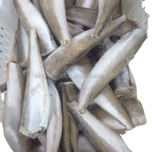 Halibut Congelado de Primera Calidad, Venta al Por Mayor, Listo para Enviar, Grado Alimenticio, Suministro para Exportación - Product Image 2