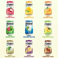 Vente en gros du fabricant vietnamien de boissons gazeuses halal 330ml 250ml boîte de conserve bouteille pour animaux de compagnie jus de fruits orange eau de mangue aloe vera goji