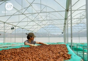 HANCOFFEE Café en grains entiers 100% Arabica torréfié, torréfaction moyenne, sacs en gros vietnamiens OEM/ODM - Product Image 4