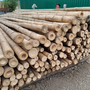Grandes cannes en bambou pour clôtures, cloisons, décoration en provenance du Vietnam / Poteaux en bambou traité pour jardin extérieur - Product Image 1