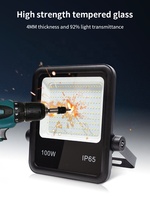 Projecteur LED de stade IP65 500W pour éclairage extérieur de bâtiments, compatible avec tour d'éclairage diesel